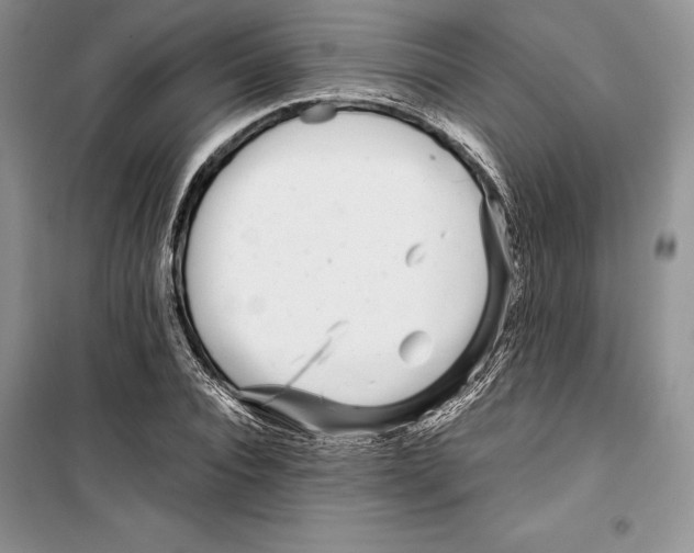 X0000099460928200806061125