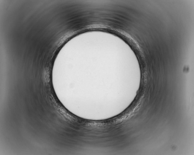 X0000099460929200806061125