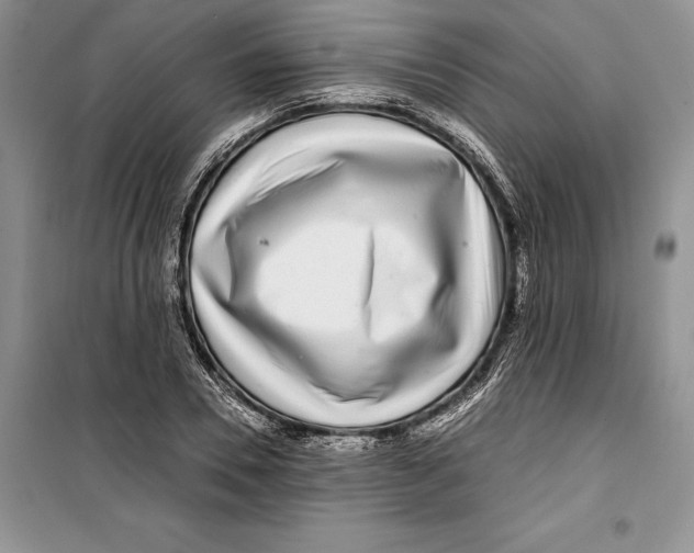 X0000099460930200806061125