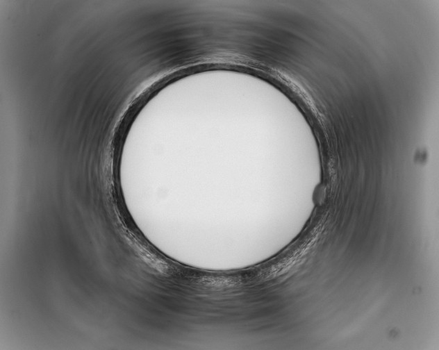 X0000099460931200806061125