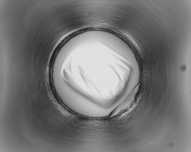 X0000099460932200806061125