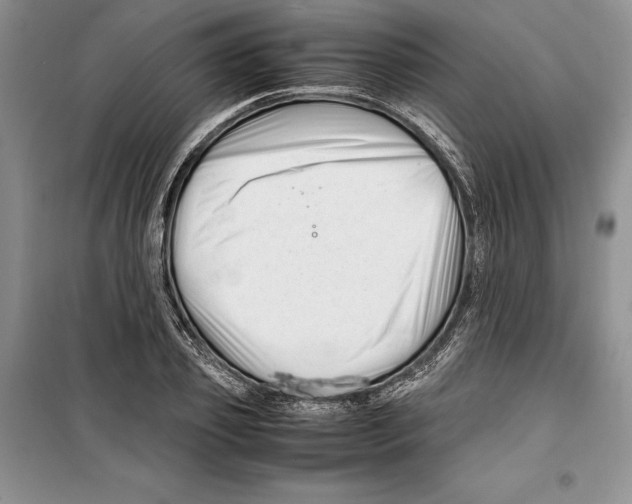 X0000099460933200806061125