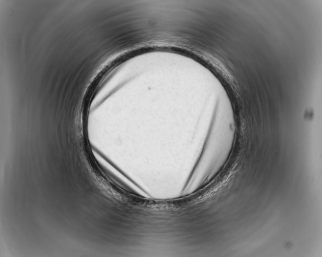 X0000099460934200806061125