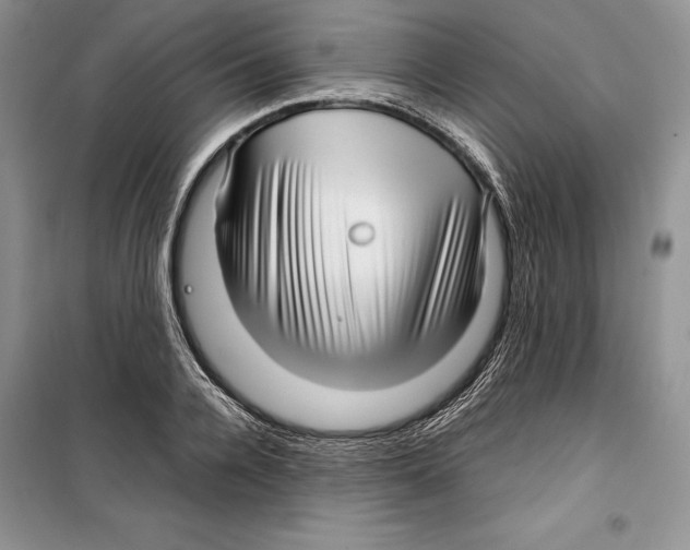 X0000099460936200806061125