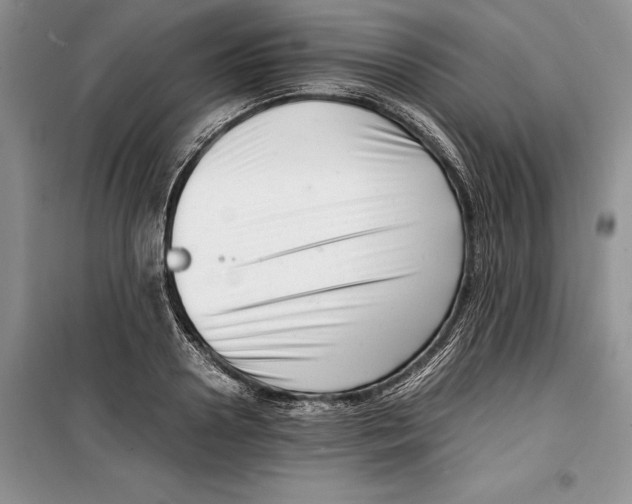 X0000099460938200806061125