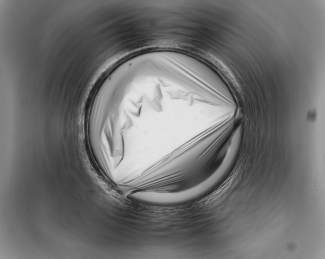 X0000099460939200806061126