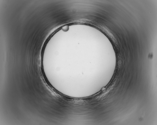 X0000099460940200806061126