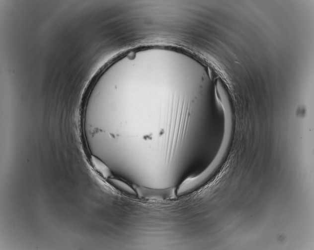 X0000099460942200806061126