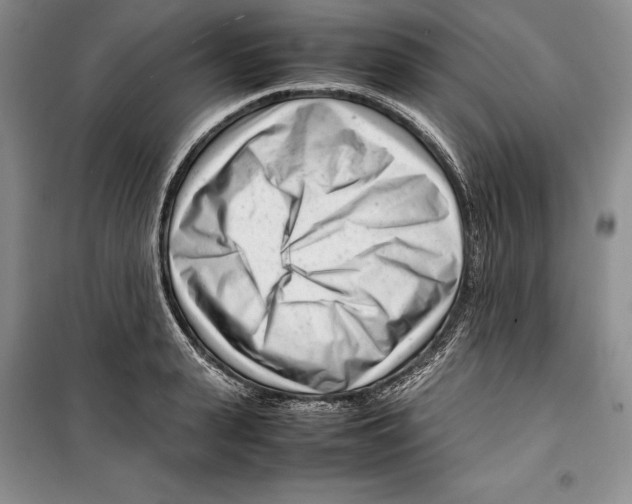 X0000099460943200806061126