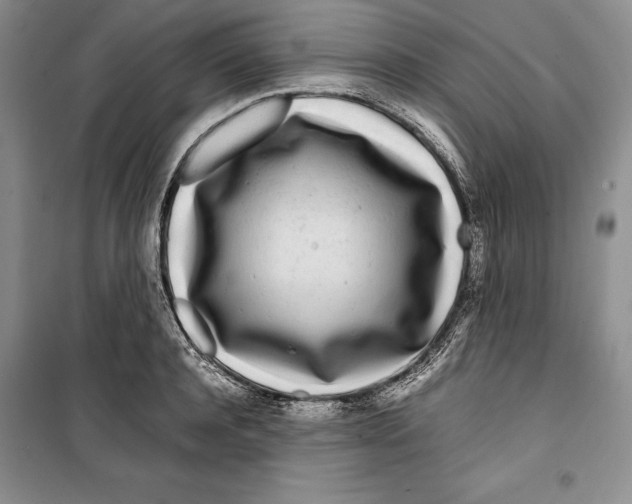 X0000099460944200806061126