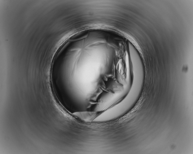 X0000099460946200806061126