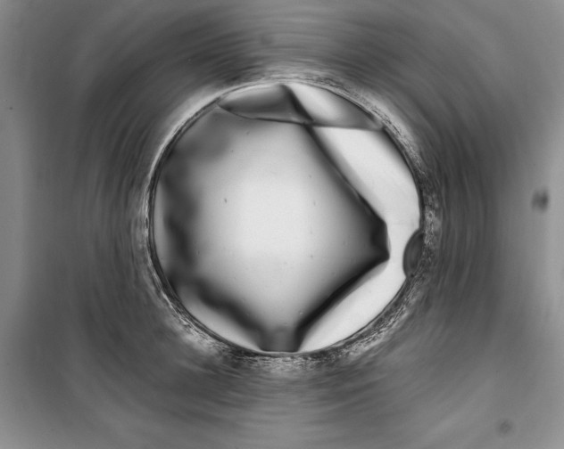 X0000099460948200806061126