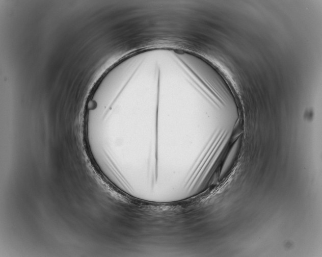 X0000099460949200806061126