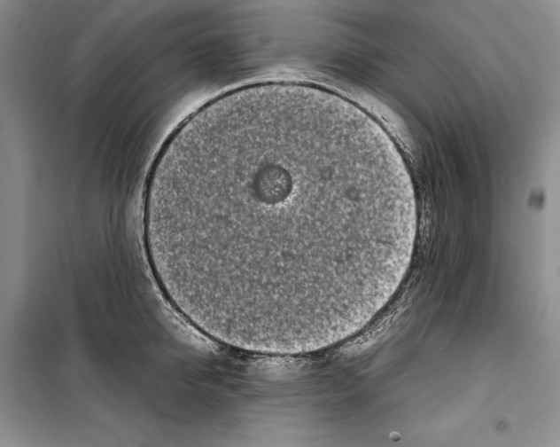 X0000099460950200806061126