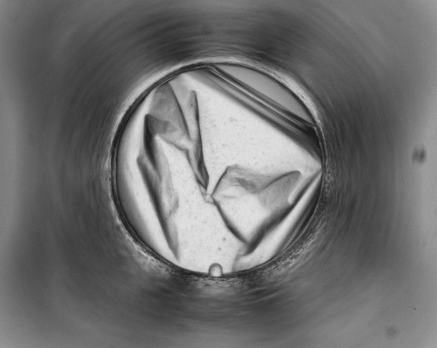 X0000099460951200806061126