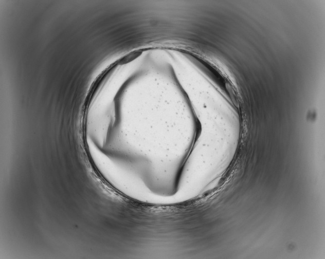 X0000099460952200806061126