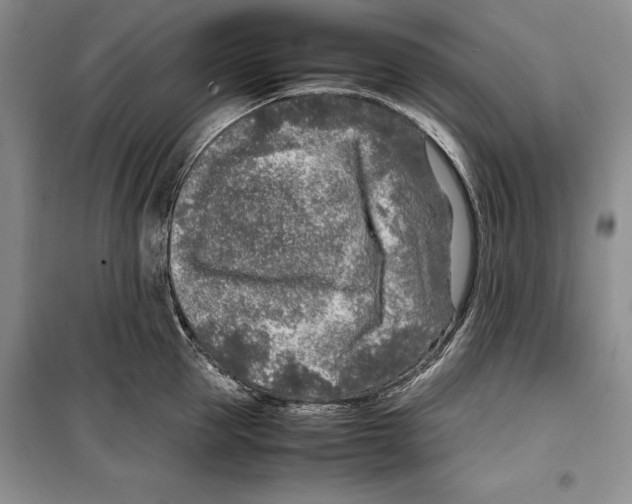 X0000099460953200806061126