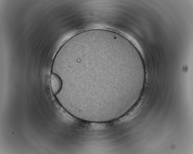 X0000099460954200806061126