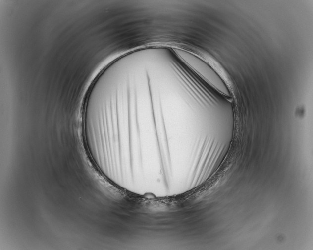 X0000099460955200806061126