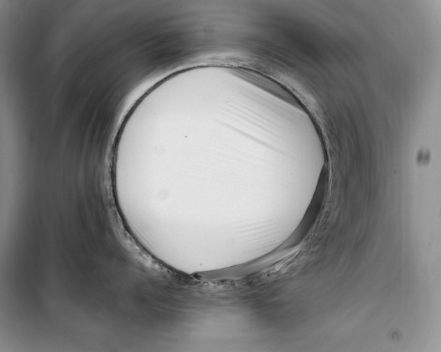 X0000099460960200806061126