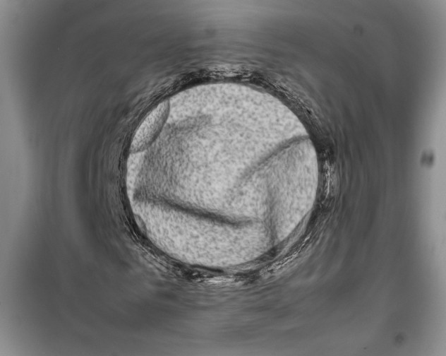 X0000099460961200806061125