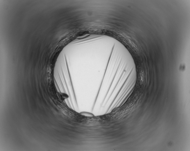 X0000099460964200806061125