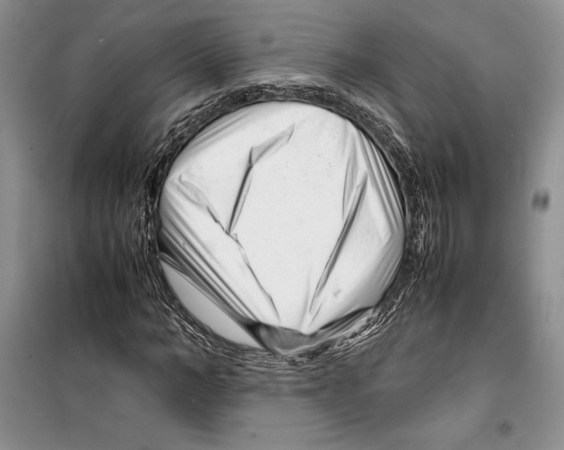 X0000099460966200806061125