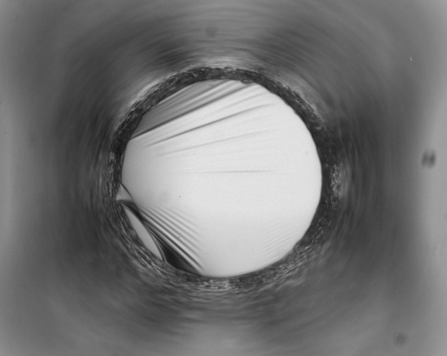 X0000099460968200806061125