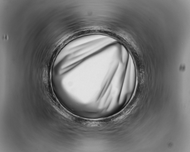 X0000099460969200806061125