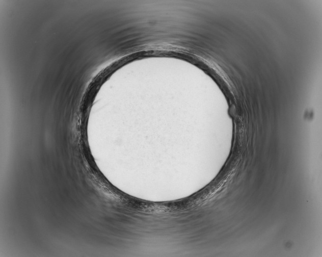 X0000099460971200806061125