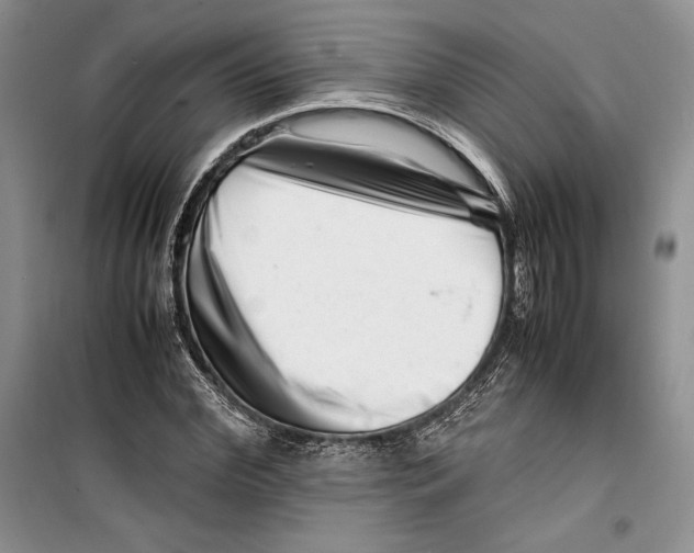 X0000099460972200806061125