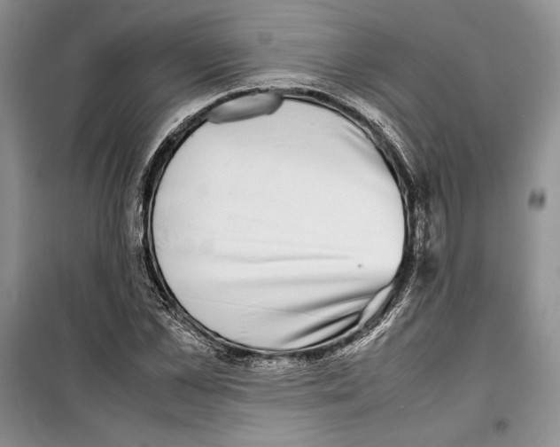 X0000099460973200806061125