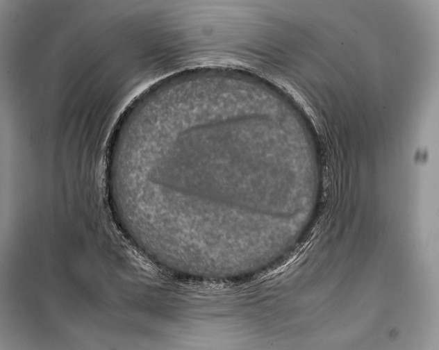 X0000099460975200806061125