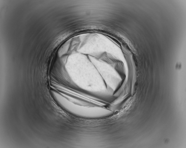 X0000099460977200806061125