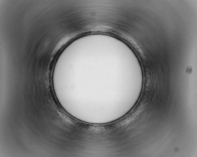 X0000099460978200806061125