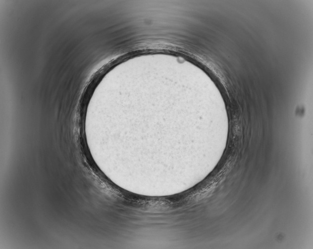 X0000099460979200806061125