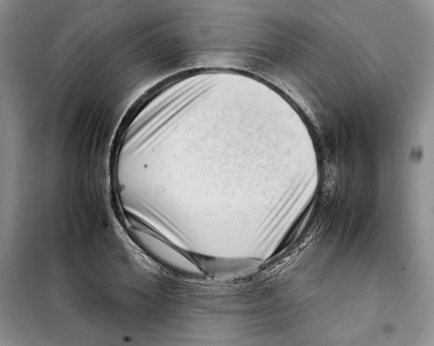 X0000099460980200806061125