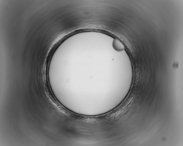 X0000099460982200806061125