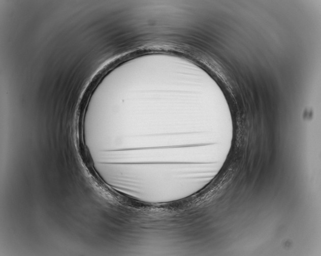 X0000099460984200806061125