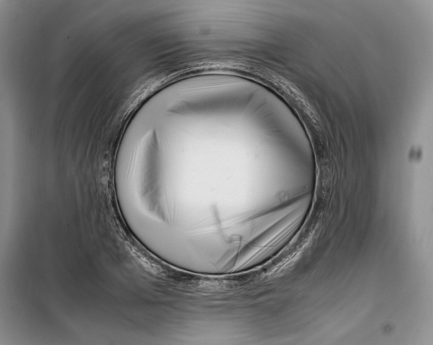 X0000099460985200806061125