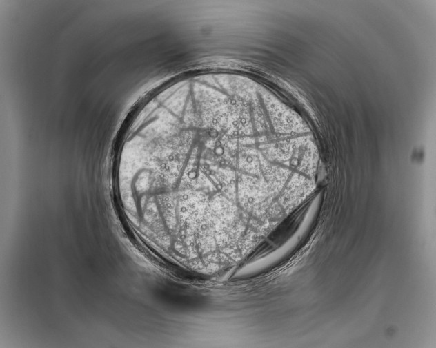 X0000099460987200806061125