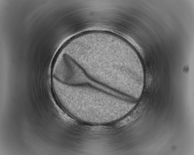 X0000099460988200806061125