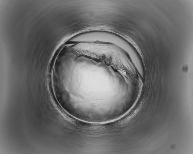 X0000099460989200806061125