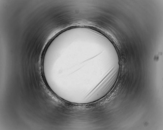 X0000099460990200806061125