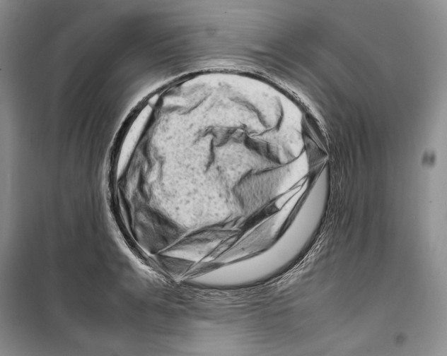 X0000099460991200806061125