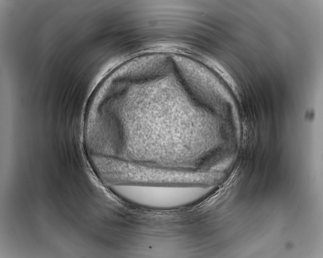 X0000099460994200806061125