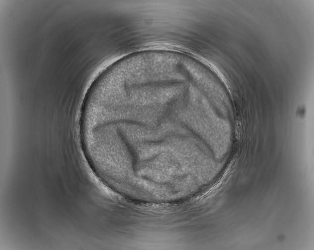 X0000099460995200806061125