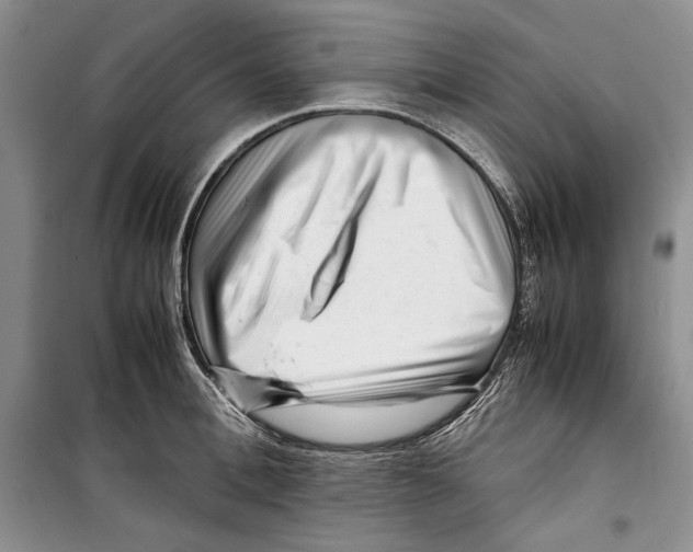 X0000099460996200806061125