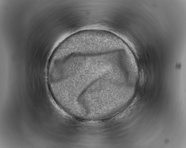 X0000099460998200806061125