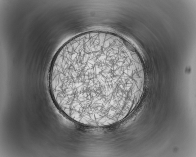 X0000099460999200806061125